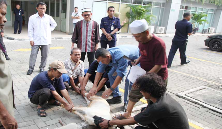 Iduladha 1439 H, Ketua KY Ajak Masyarakat Istiqomah Mewujudkan Peradilan Bersih